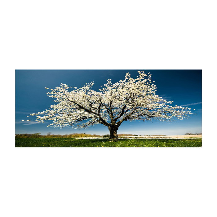 Wallity Lienzo Decorativo Multicolor 50 x 120 cm Wallity Lienzo Decorativo Multicolor 50 x 120 cm